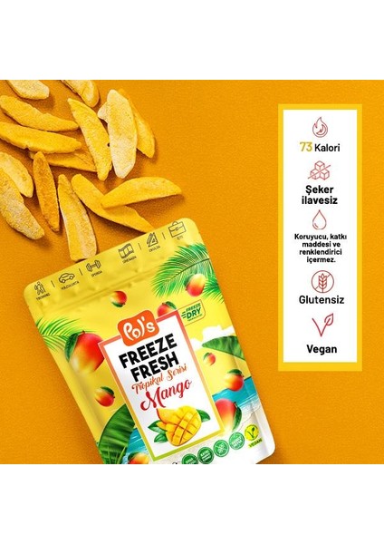 Freeze Fresh Mango 20 gr X3 Adet Freeze Dry Dondurularak Kurutulmuş Meyve