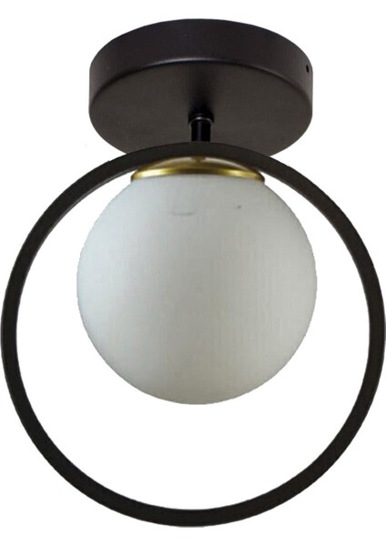 Peri Metal Salon - Mutfak - Yatak Odası Halka Siyah Beyaz Tekli Avize