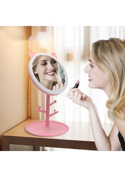 Taşınabilir LED Işıklı Makyaj Aynası Bayan Makyaj Lambası Depolama Masaüstü Şekli Kozmetik Aynalar (Pembe) (Yurt Dışından) fırsatları