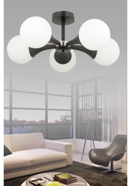 Eva 5 Li Modern (Siyah) Beyaz Glop Camlı Salon Yatak Odası Mutfak Genç Odası Avize