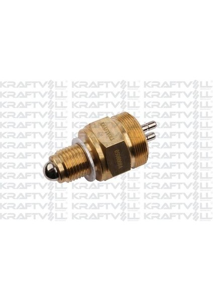 05080084 Geri Vites Müşürü Ford Cargo 8876416