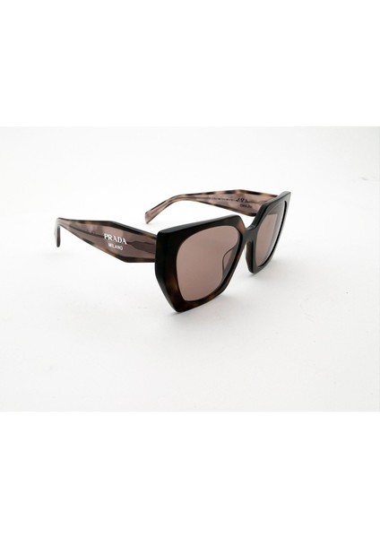 15WS 23A60B 54 Kadın Güneş Gözlüğü