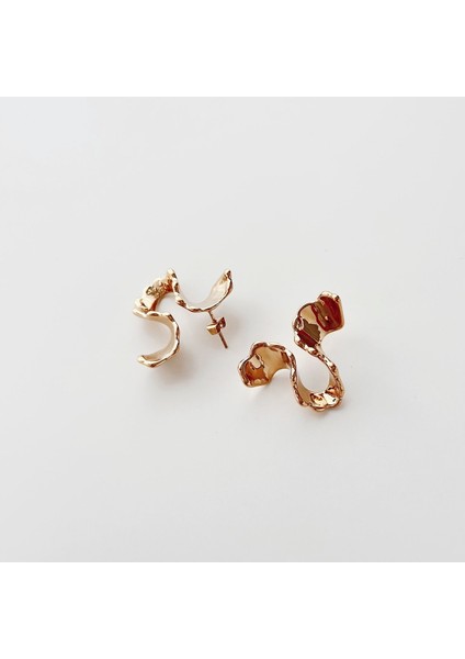 Turnis Steel Earring | Çelik Küpe fiyatları