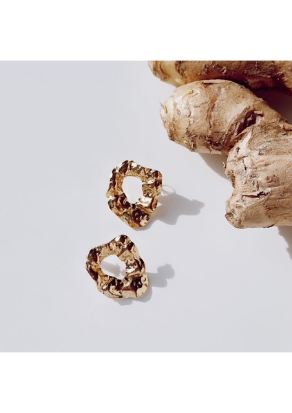 Renora Steel Earring | Çelik Küpe fiyatları