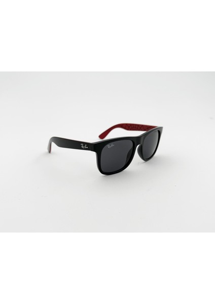 9069S 716687 48 Unisex Güneş Gözlüğü