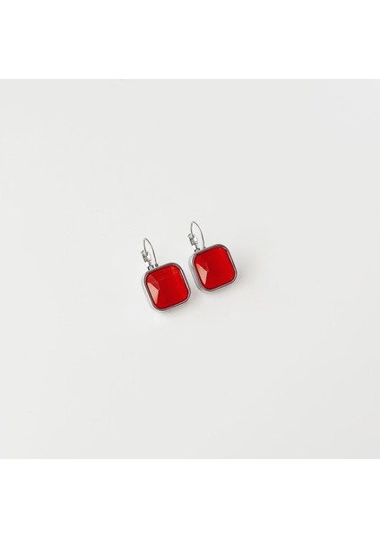 Naomi Grey Steel Earring | Çelik Küpe fiyatları