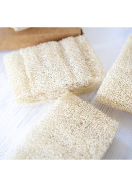 Kabak Lifi (Bulaşık Lifi)