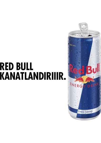 Enerji Içeceği 250 ml x 6 Adet