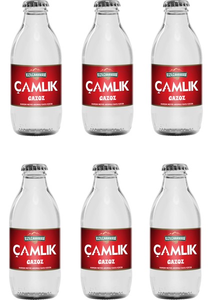 Çamlık Gazoz 200 ml x 6 Adet
