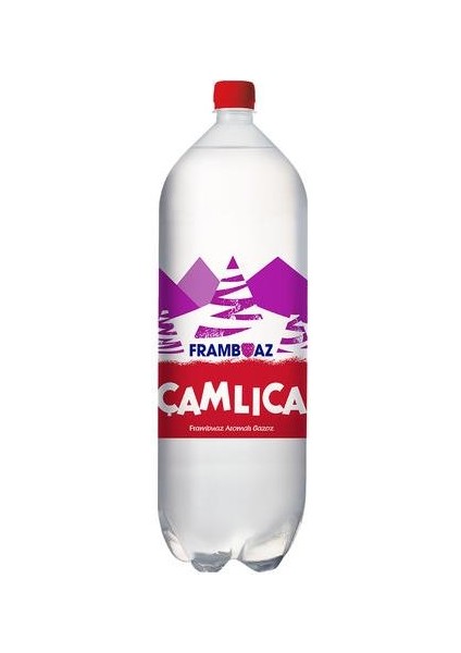 Frambuaz Aromalı Gazoz 2,5 lt