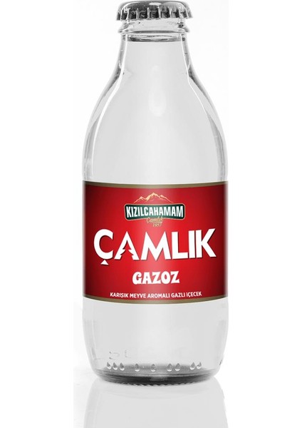 Çamlık Gazoz 200 ml x 24 Adet