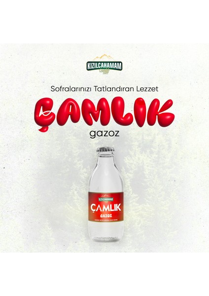 Çamlık Gazoz 200 ml x 24 Adet