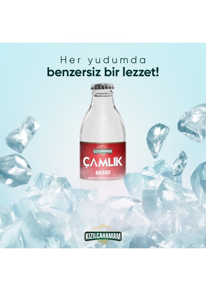 Çamlık Gazoz 200 ml x 24 Adet