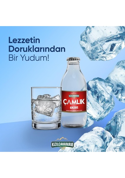 Çamlık Gazoz 200 ml x 24 Adet