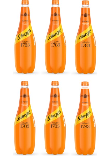 Mandalina Aromalı Gazlı Içecek 1 lt x 6 Adet