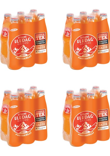 Efsane Gazozu Portakallı 250 ml x 24 Adet