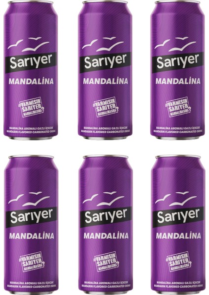 Mandalina Aromalı Gazoz 330 ml x 6 Adet