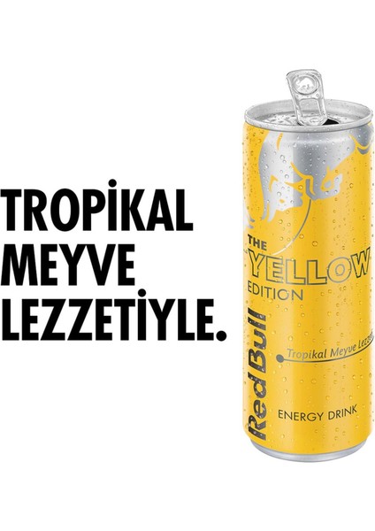 Enerji Içeceği Tropikal Meyve 250 ml x 24 Adet
