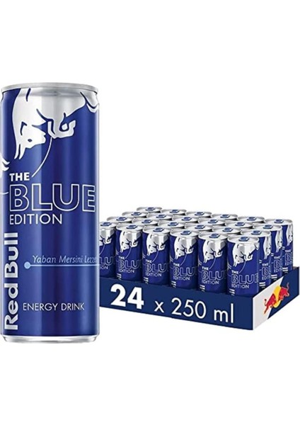 Enerji Içeceği Yaban Mersini 250 ml x 24 Adet