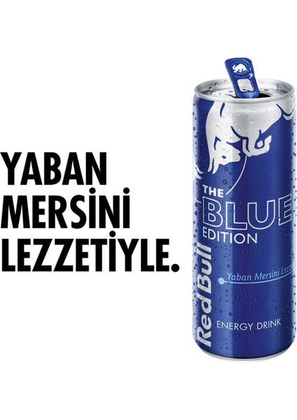 Enerji Içeceği Yaban Mersini 250 ml x 24 Adet