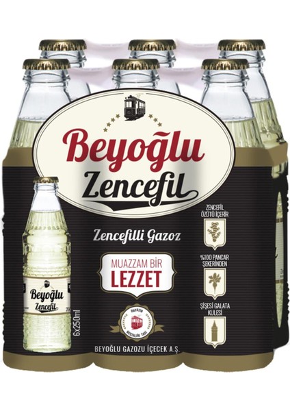 Gazozu Zencefilli 250 ml x 6 Adet