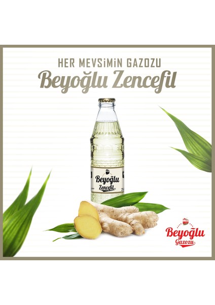 Gazozu Zencefilli 250 ml x 6 Adet