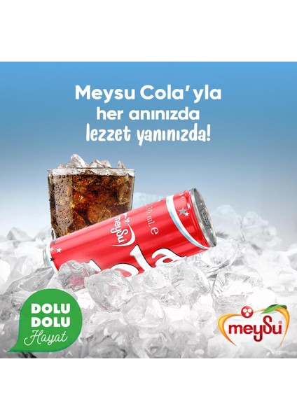 Kola 330 ml x 24 Adet