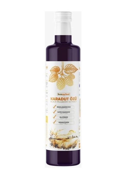Karadut Özü Binnebat 700 gr