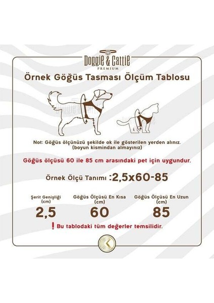 Havalı Dokuma Kedi Göğüs ve Gezdirme Takımı Large Turuncu 1.5x30-40 Cm