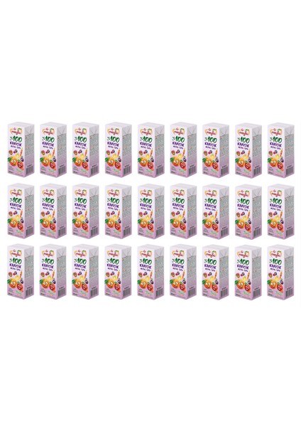 Karışık Meyve Suyu 200 ml x 27 Adet