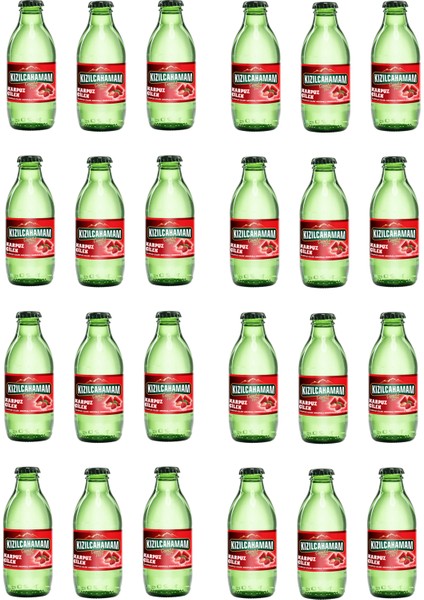 Çamlık Karpuz Çilek Aromalı Maden Suyu 200 ml x 24 Adet