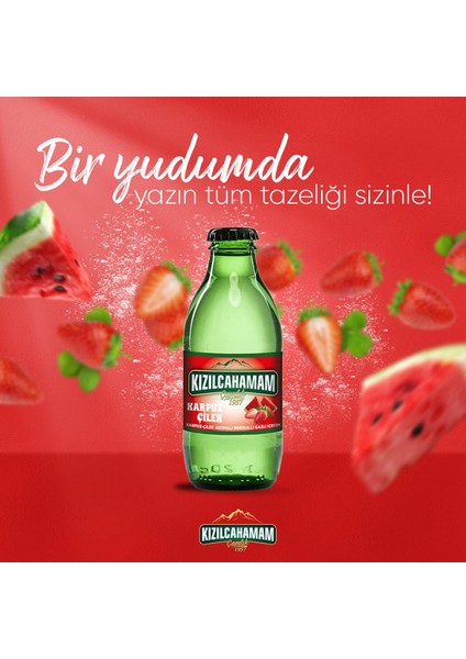 Çamlık Karpuz Çilek Aromalı Maden Suyu 200 ml x 24 Adet