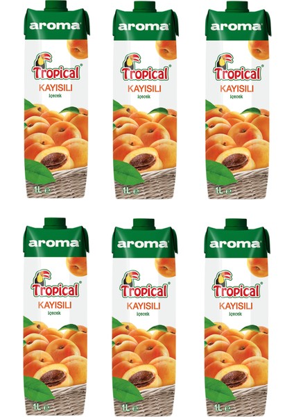 Tropical Kayısılı Içecek 1 lt x 6 Adet