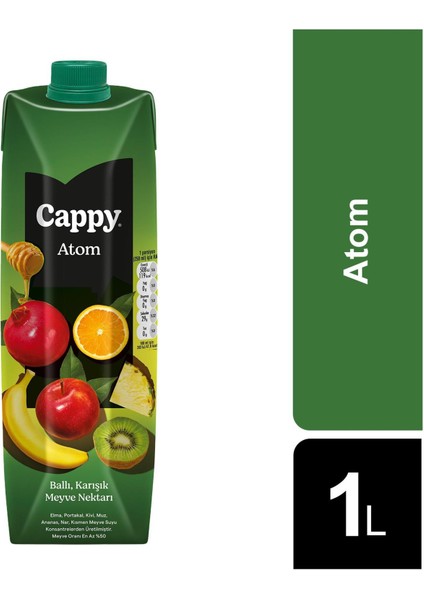 Atom Ballı Karışık Meyve Nektarı 1 lt