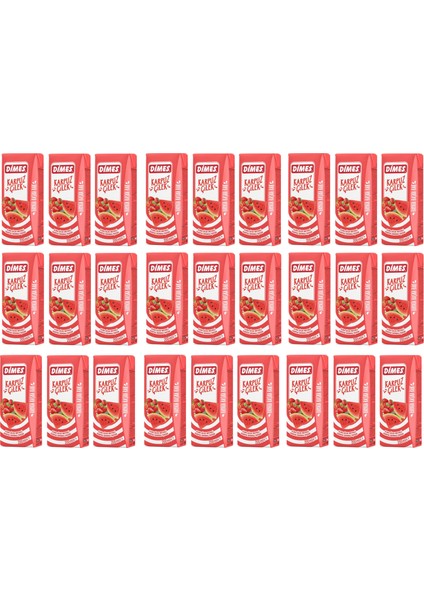 Karpuz ve Çilekli Içecek 200 ml x 27 Adet
