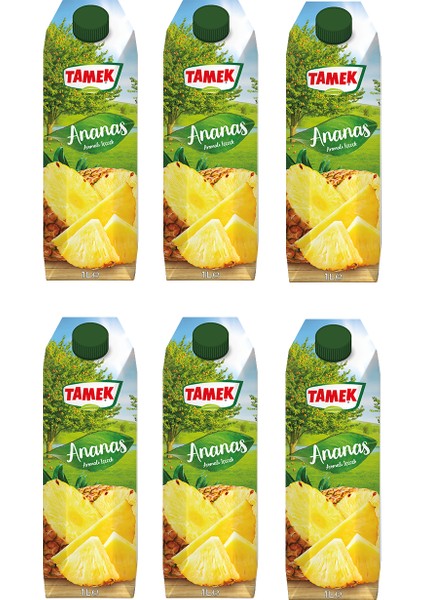 Ananas Nektarı 1 lt x 6 Adet