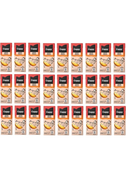 Bahçe Şeftali Nektarı 200 ml x 27 Adet