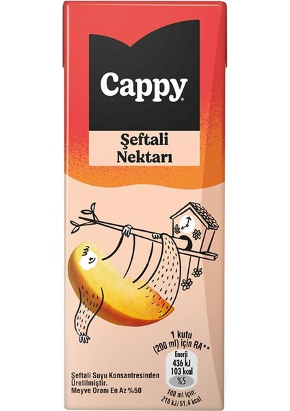 Bahçe Şeftali Nektarı 200 ml x 27 Adet