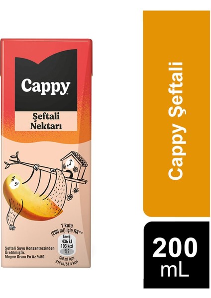 Bahçe Şeftali Nektarı 200 ml x 27 Adet