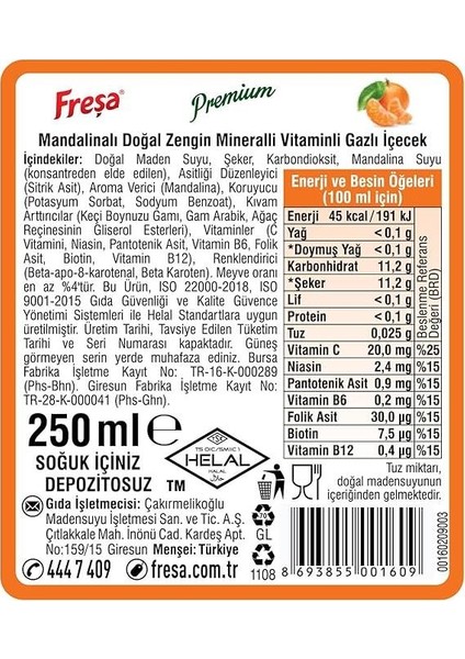 Premium Mandalinalı Vitaminli Maden Suyu 250 ml x 6 Adet