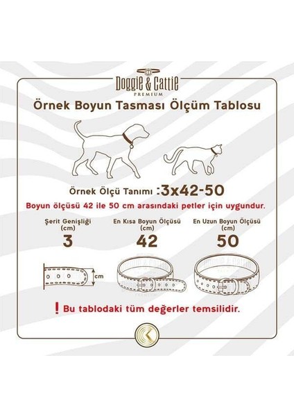 Güvenlik Tokalı Kedi Boyun Tasması Haki 1x15-25 Cm