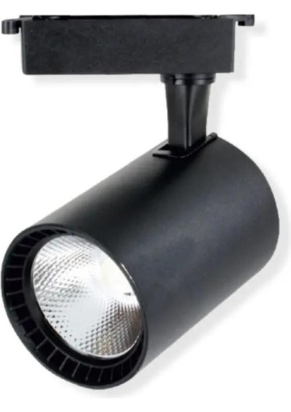 30W Beyaz Ray Spot