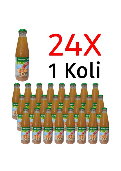 Kayısı Nektarı Cam 200 ml x 24 Adet