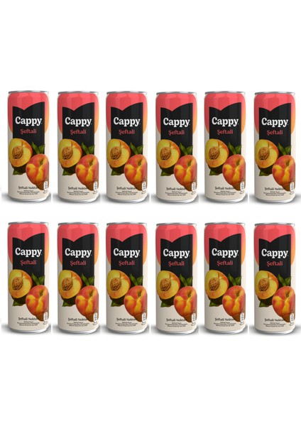 Bahçe Şeftali Nektarı 330 ml x 12 Adet