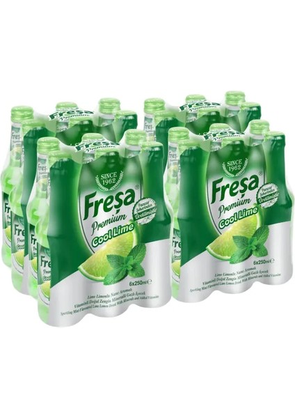 Premium Cool Lime Limonlu Nane Aromalı Maden Suyu 250 ml x 24 Adet