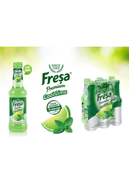 Premium Cool Lime Limonlu Nane Aromalı Maden Suyu 250 ml x 24 Adet