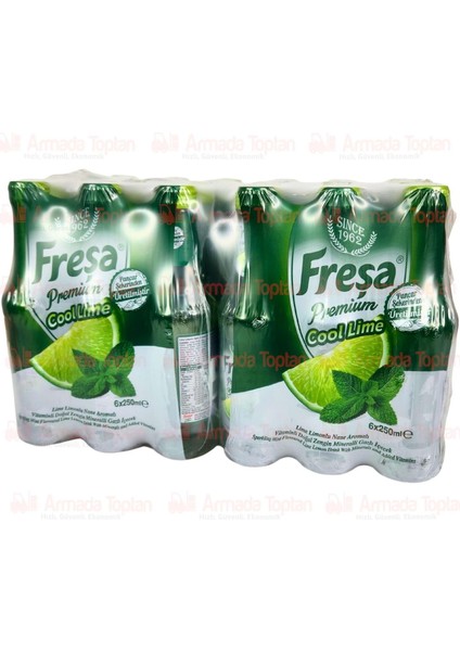 Premium Cool Lime Limonlu Nane Aromalı Maden Suyu 250 ml x 24 Adet