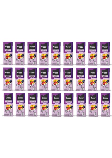 Bahçe Karışık Meyve Nektarı 200 ml x 27 Adet