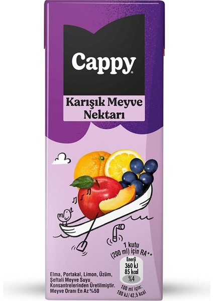 Bahçe Karışık Meyve Nektarı 200 ml x 27 Adet