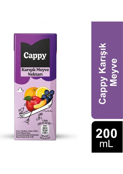 Bahçe Karışık Meyve Nektarı 200 ml x 27 Adet